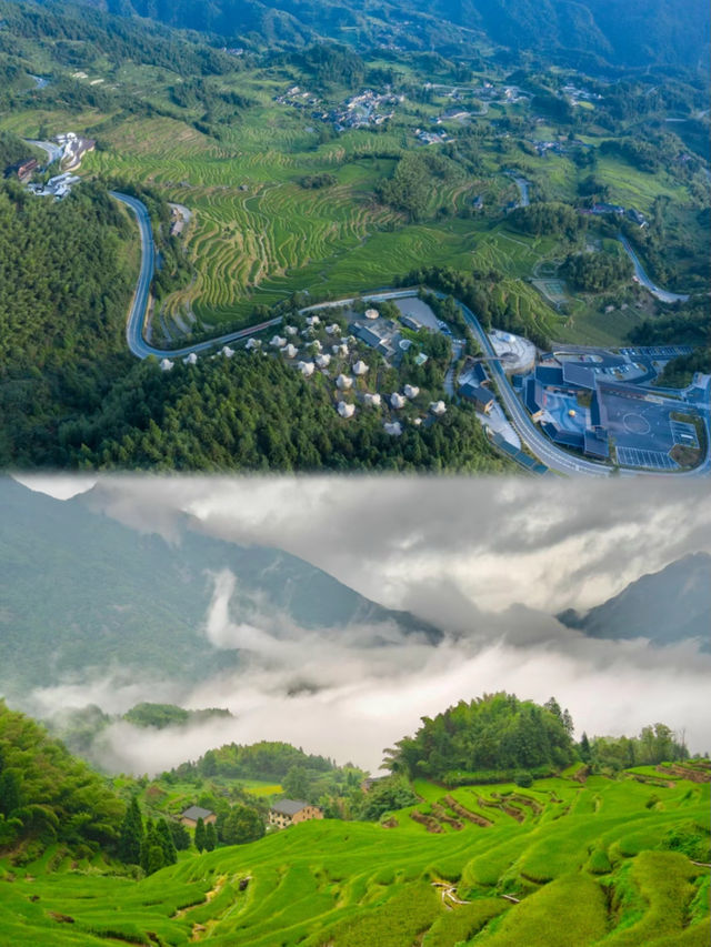 麗水雲和梯田歸野雲海營地 |。