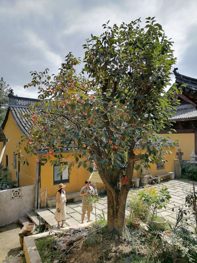 金華浦江龍德古寺丨一個人氣很旺的古寺丨值得一遊。