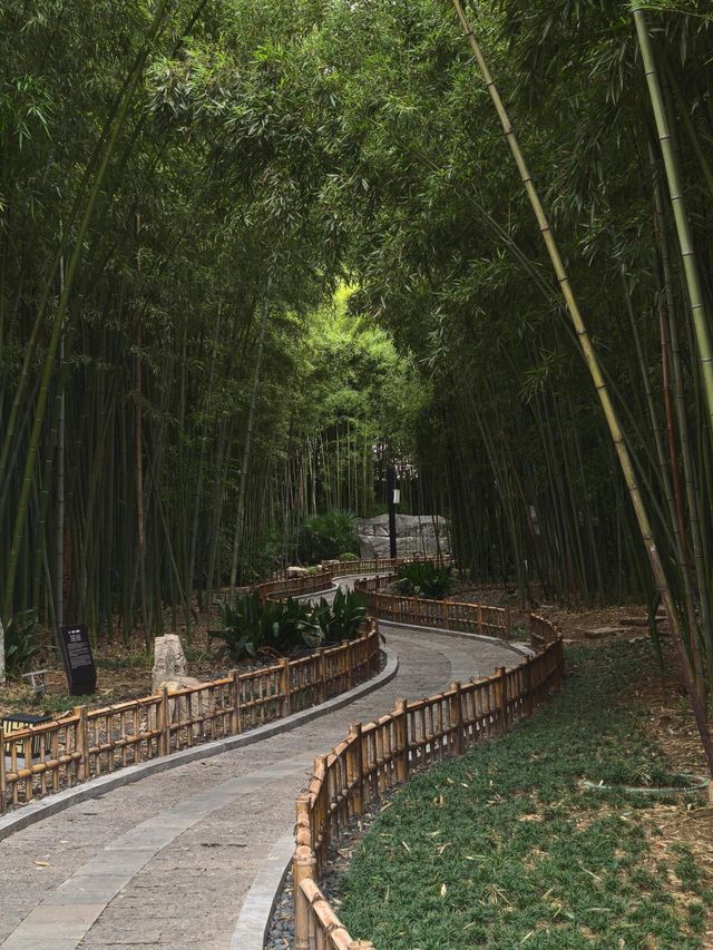 泰州。