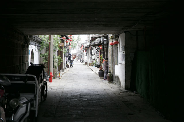 探訪楓涇古鎮：水鄉詩意與細雨交織的慢時光。