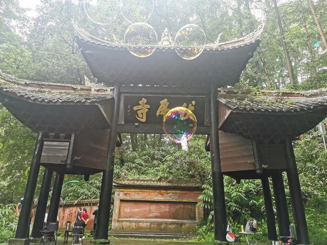 四川峨眉伏虎寺︱藏在山腳下的清幽寺院。