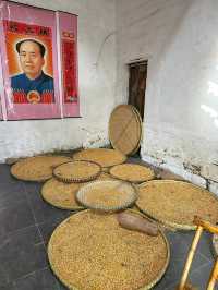 武漢大餘灣｜在這裡體驗與婺源同款晒秋。