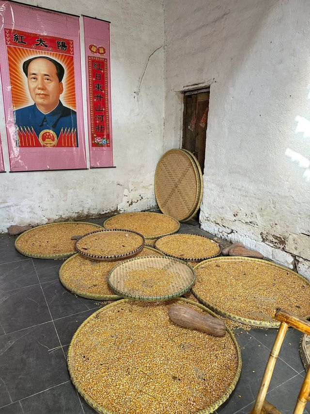 武漢大餘灣｜在這裡體驗與婺源同款晒秋。
