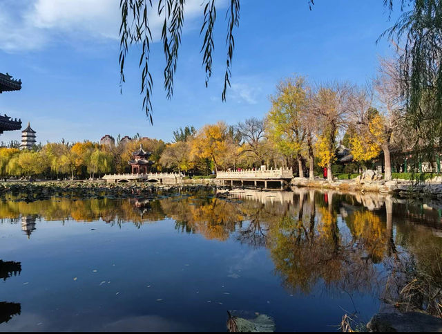 天津最大公園：寧園（初秋好去處）。