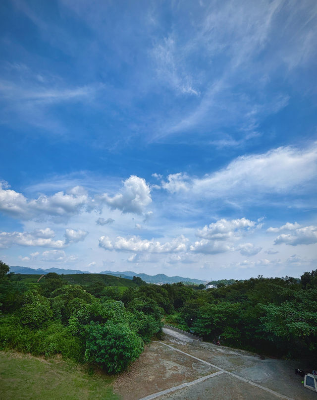 杭州光明寺：邂逅禪意，靜享時光。