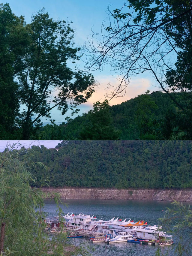 住進翠竹環抱的小島，山川美景皆在眼前。
