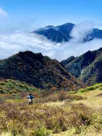 終南山秦楚古道。