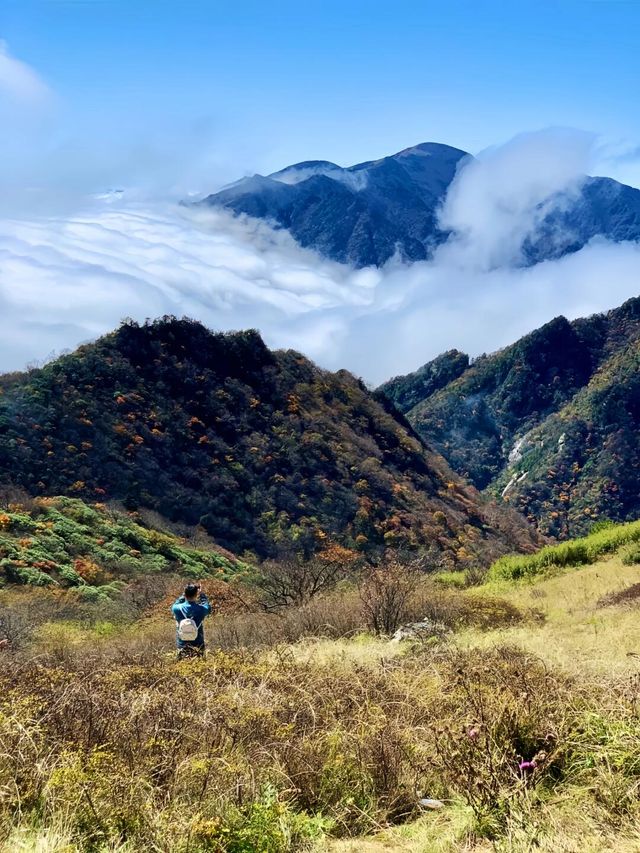 終南山秦楚古道。