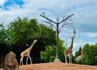 走進動物世界狂歡｜林肯公園動物園。