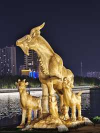 阜寧夜景。