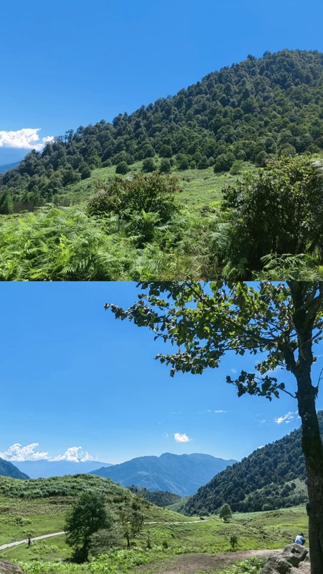 四川黑竹溝國家森林公園：探秘中國的「百慕大」。