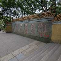 再見普陀山已是五年後