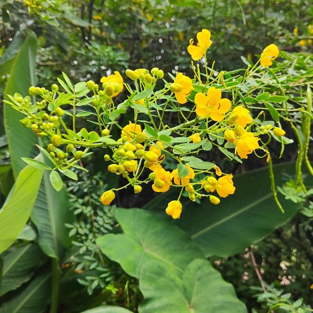 寺廟推薦篇。