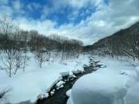 A Must-Visit Onsen Experience at Tsurunoyu