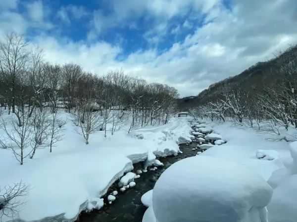 A Must-Visit Onsen Experience at Tsurunoyu