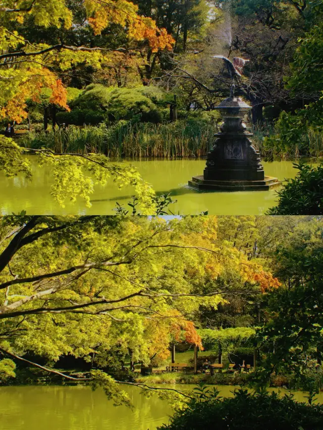 Tokyo Fall Leaf Viewing Guide: Hibiya Park