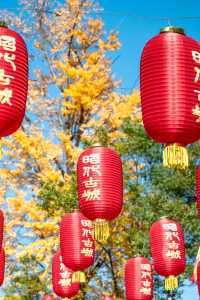 廣元兩日遊丨這座小城的晚秋不輸任何城市，真的美。