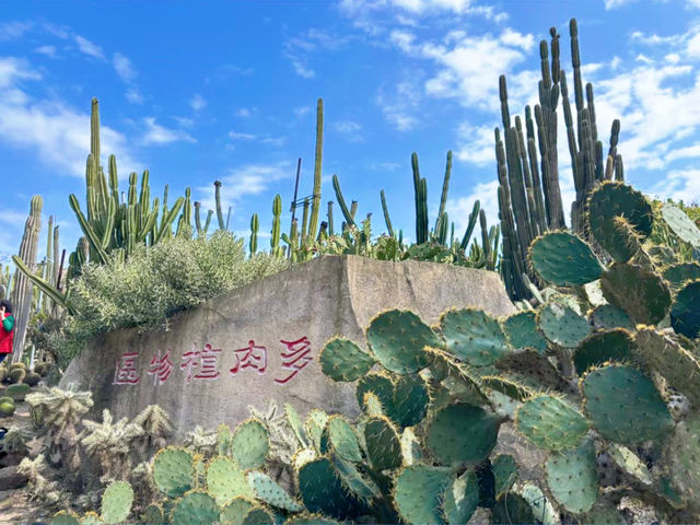 廈門園林植物園：都市中的綠色仙境