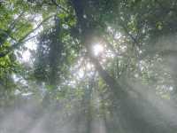 廈門園林植物園：都市中的綠色仙境