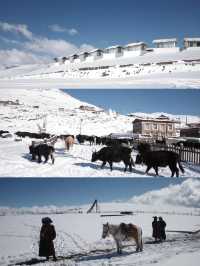 會反復愛上的川西｜冬日賞雪自駕攻略