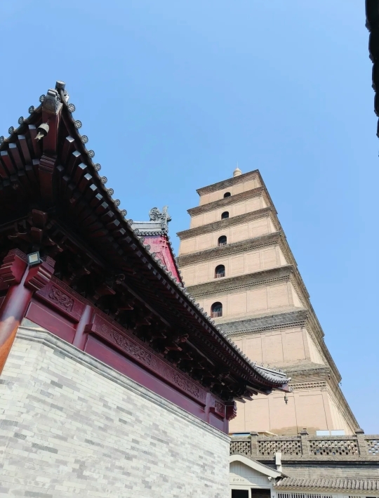 探訪歷史的寧靜——唐大慈恩寺遺址公園遊記｜Trip.com 西安