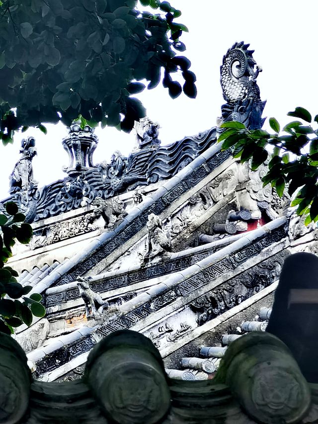 初冬騎行暮訪金華寺|於塵世尋一抹古剎清幽