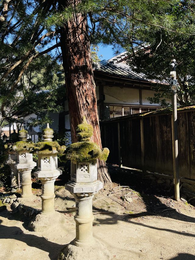 日本·京都高雄西明寺