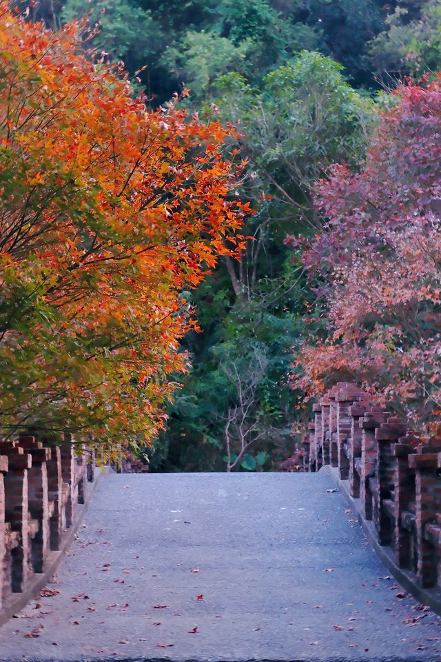 廣東周邊遊