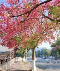 攀枝花的旅遊日記