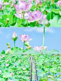 小眾行：解鎖福建「碧水丹山」密碼