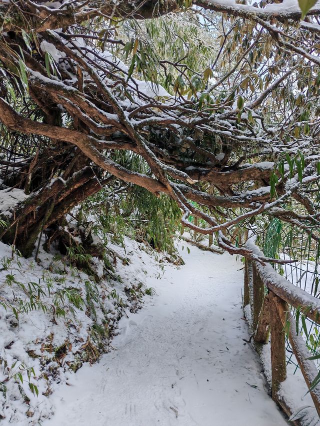 龍蒼溝天生橋景區