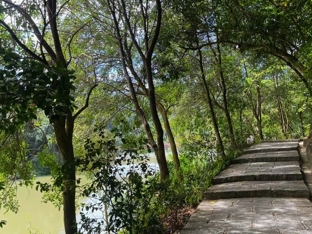2. 解鎖白江湖森林公園，這些打卡點不容錯過！