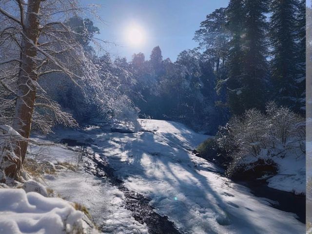 寶藏小眾玩雪秘境，狠狠拿捏我的心 超愛