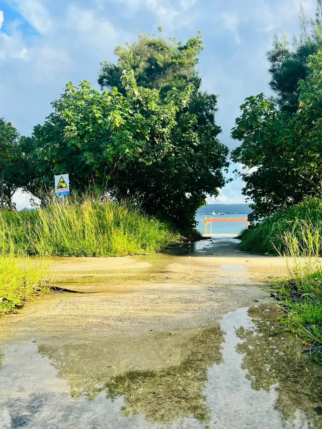 5-Day Winter Vacation in Japan