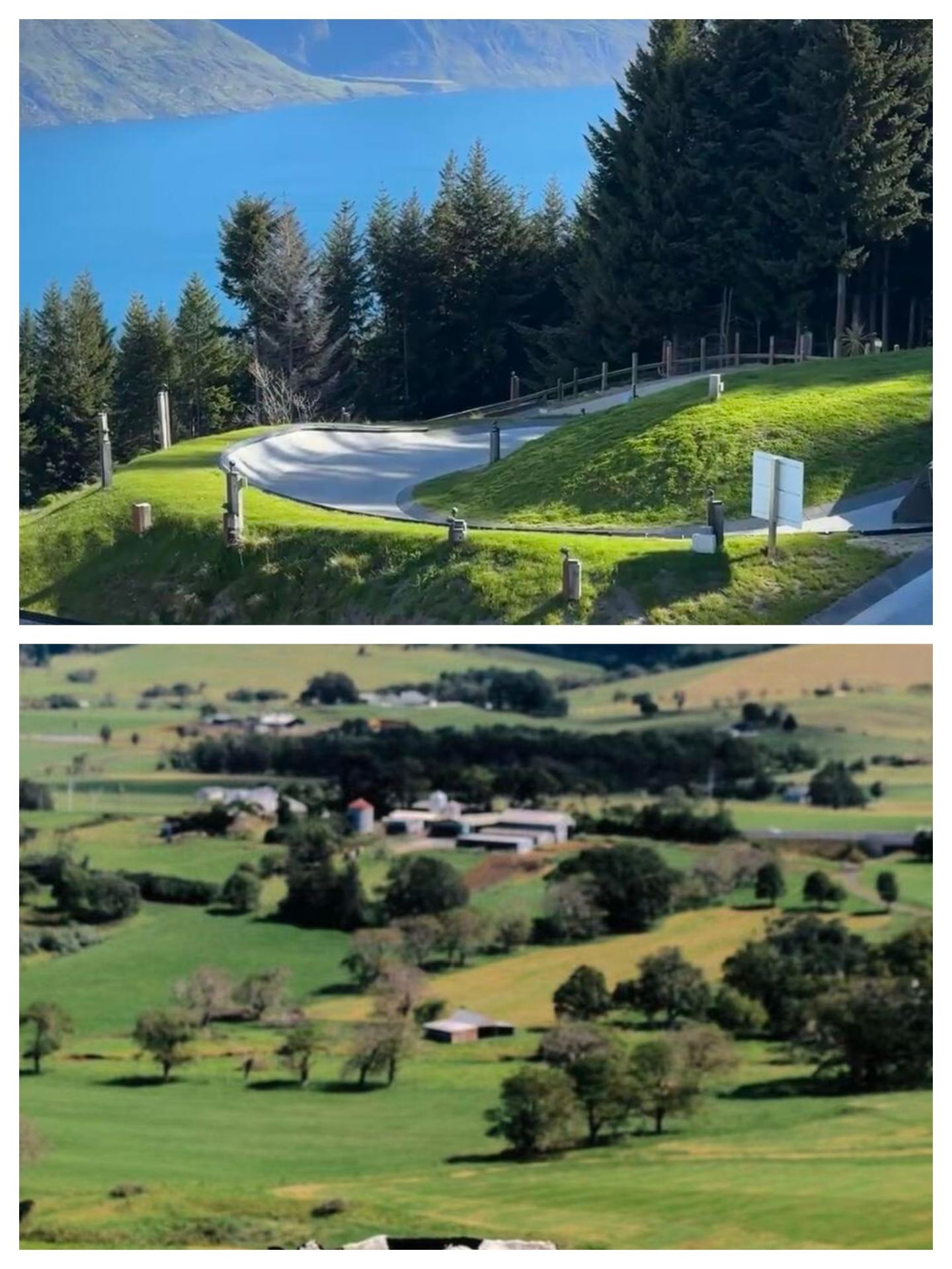 Blenheim, New Zealand: A perfect blend of sunshine, wine, and nature