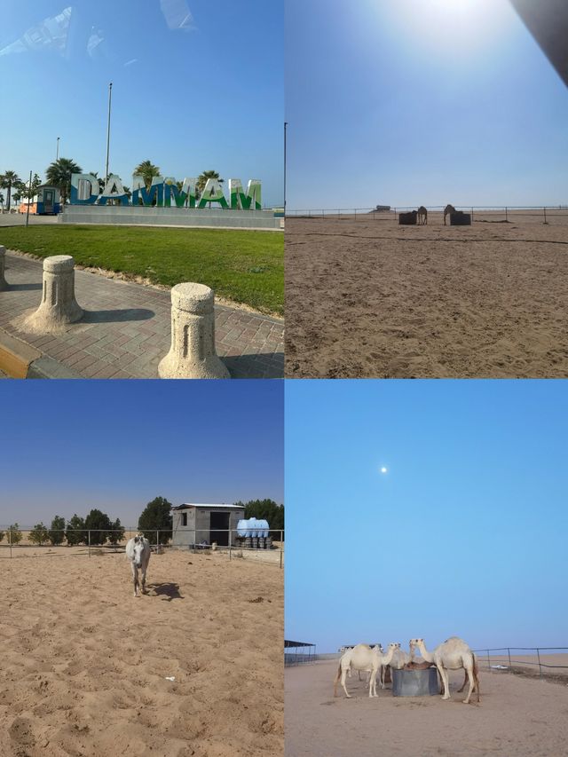 達曼：沙特阿拉伯的夢幻旅遊坐標