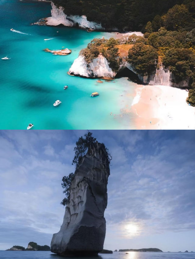 探秘新西蘭科羅曼德 | 邂逅一場清新治癒的海濱之旅