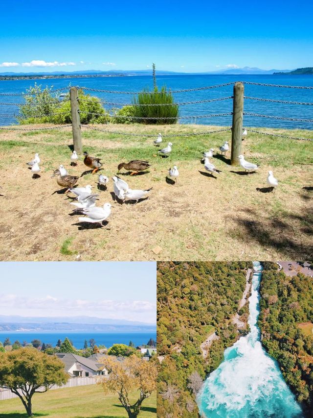 【火山之戀·新西蘭陶波夢幻探索之旅】