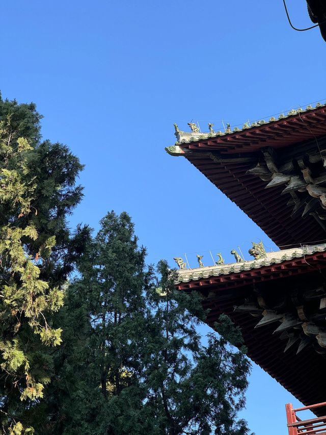 春節玩轉承德-石家莊-錫林郭勒盟保姆級攻略來襲