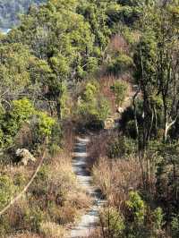 桃花嶺山脊線-嶽麓山穿越