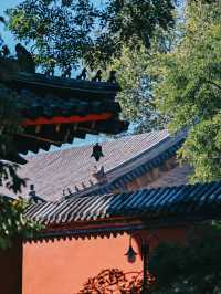 萬壽寺｜京西的靜謐與輝煌