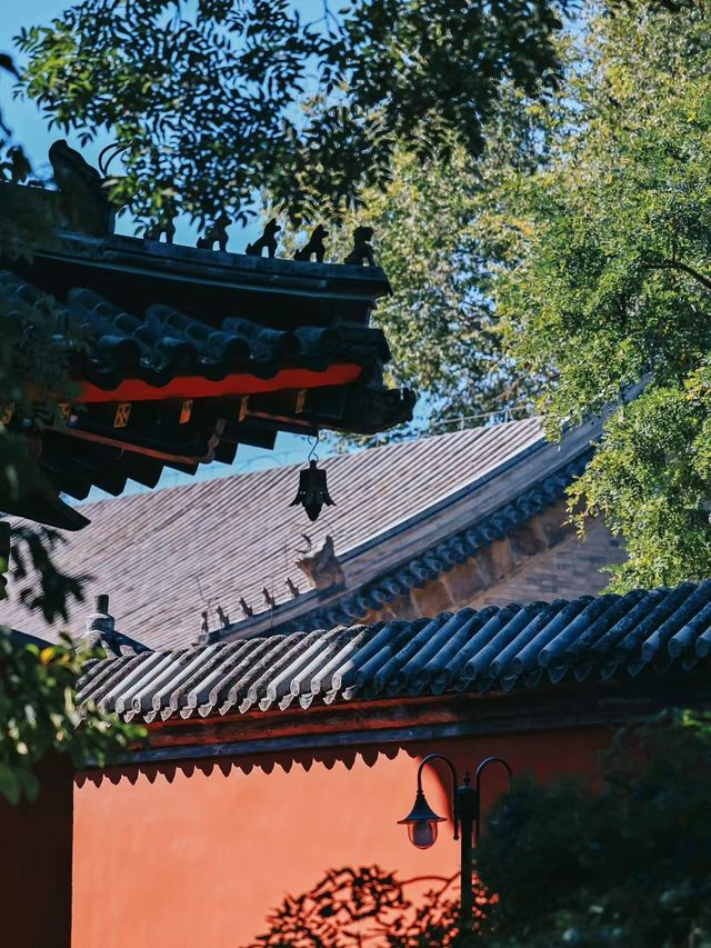 萬壽寺｜京西的靜謐與輝煌