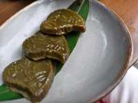 中山|係邊個第四次仲去唔厭嘅！