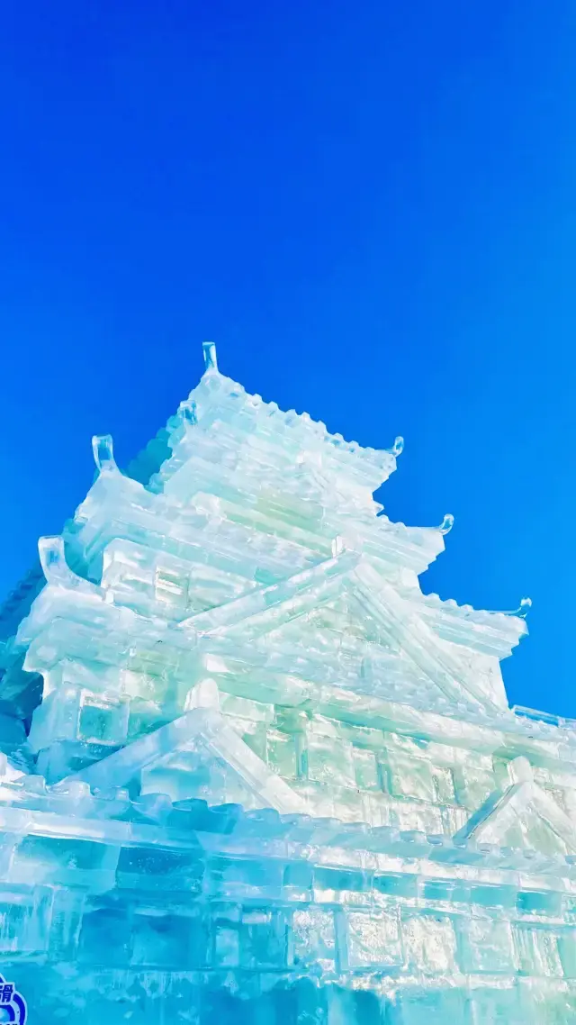 "Harbin Ice and Snow World, are you sure you won't regret not going?"