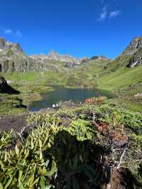 《南極洛：夏季徒步的極致浪漫，雪山與花海的完美邂逅》