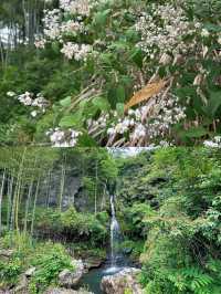 江浙滬隱藏樂園