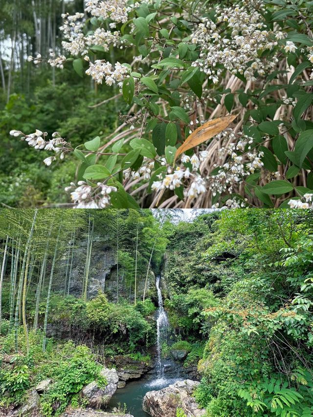 江浙滬隱藏樂園