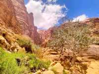 Exploring Wadi Rum Village in Jordan 🌄
