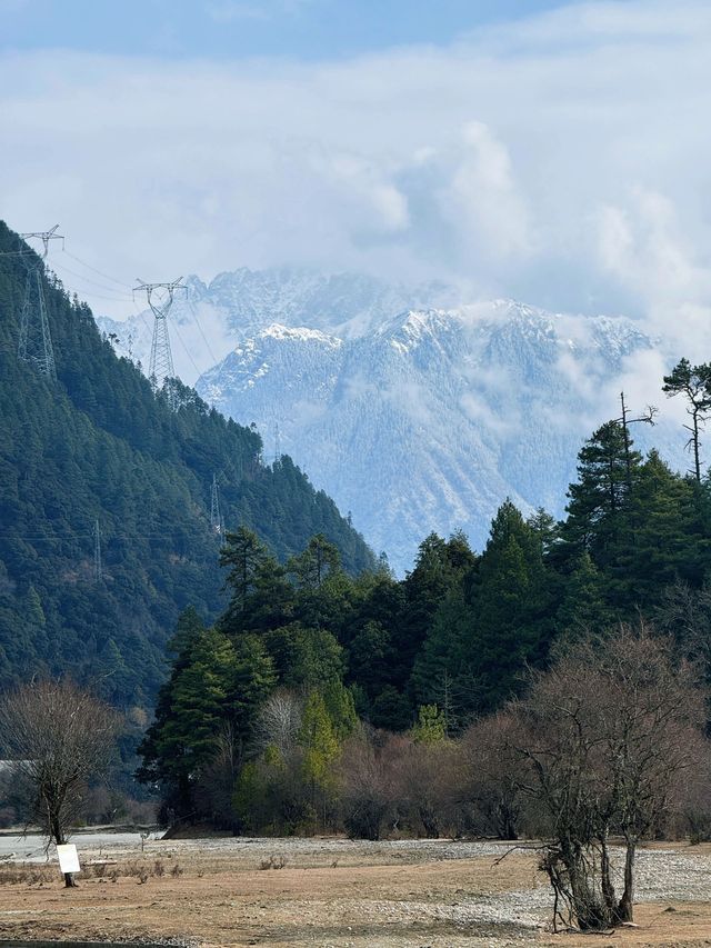 寒假去林芝-波密 超詳細旅遊攻略助你暢遊雪域高原