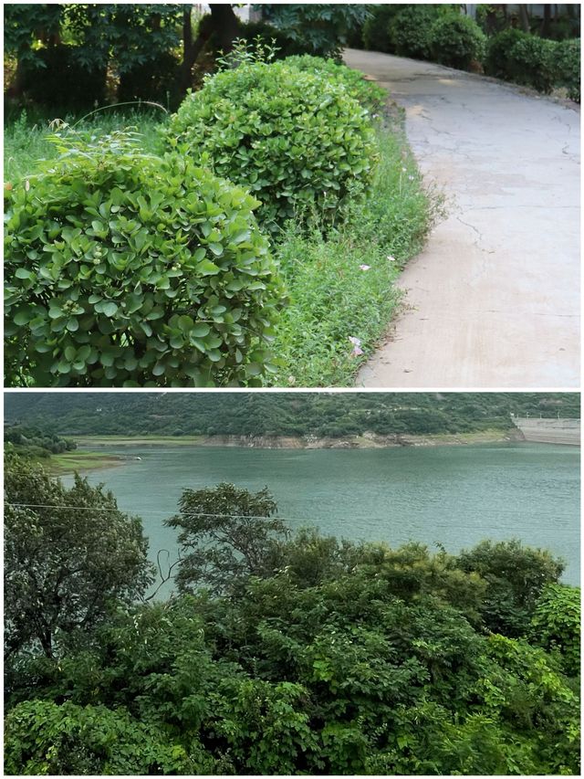 駐馬店 |‌鳳鳴谷風景區1日遊純玩路線推薦，保姆級攻略